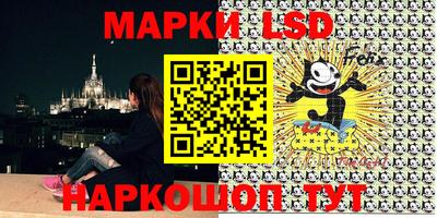 spice Новодвинск