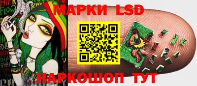 spice Новодвинск
