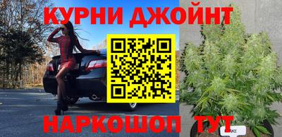 spice Новодвинск