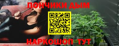 spice Новодвинск