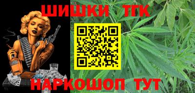spice Новодвинск