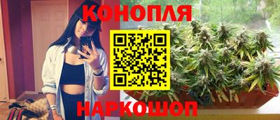 spice Новодвинск