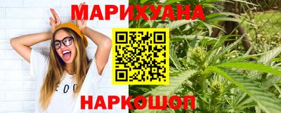 spice Новодвинск