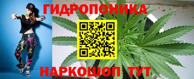 spice Новодвинск