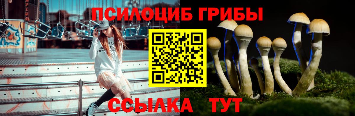 Галлюциногенные грибы GOLDEN TEACHER Сызрань