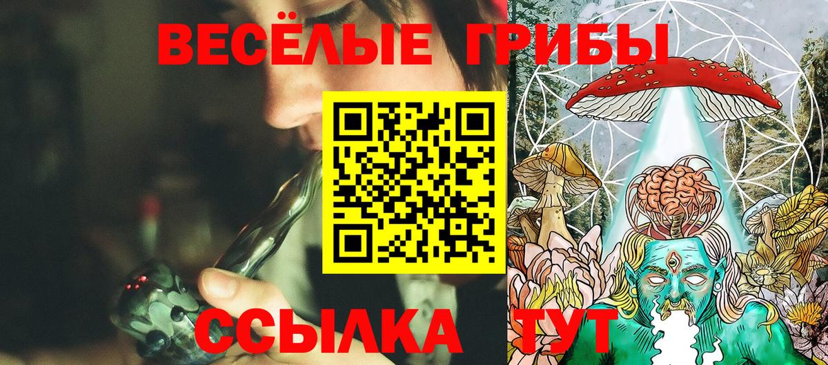 Галлюциногенные грибы мицелий  Псилоцибиновые грибы мицелий  Сызрань  Вход с VPN 
